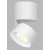 BRON C LED 11W Stropní přisazené bodové svítidlo, nastavitelný směr svícení, těleso hliník, povrch bílá/bílá, LED 1x11W, 770lm, teplá 3000K, Ra80, 230V, IP20, rozměry d=77mm, výška: 98,5mm
