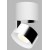 BRON C LED 11W Stropní přisazené bodové svítidlo, nastavitelný směr svícení, těleso hliník, povrch bílá/chrom, LED 1x11W, 770lm, teplá 3000K, Ra80, 230V, IP20, rozměry d=77mm, výška: 98,5mm